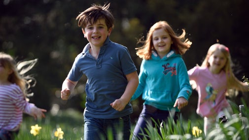 Children playing amongst the daffodils at Mottisfont